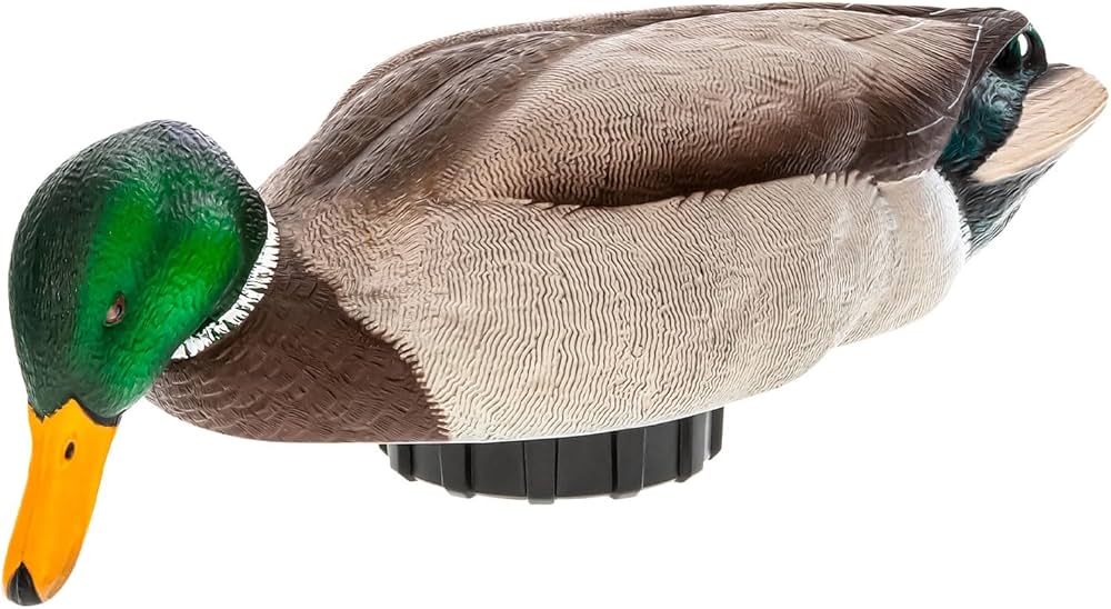 71rTQaNCfgL._AC_UF1000,1000_QL80_