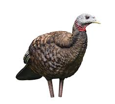 Avian X LCD Breeder Hen Turkey Decoy